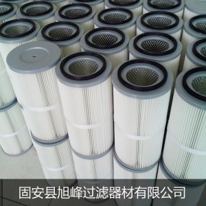 進(jìn)口濾材吸塵車(chē)集塵濾芯